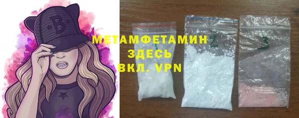 индика Новодвинск