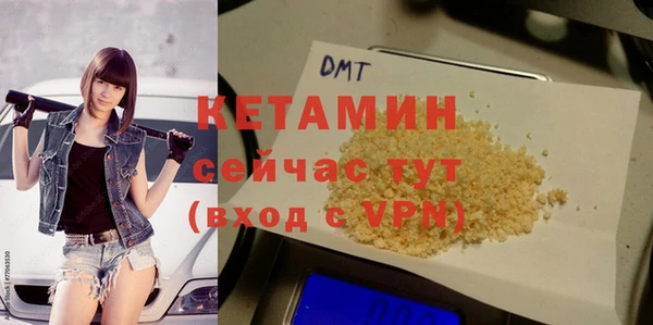 индика Новодвинск