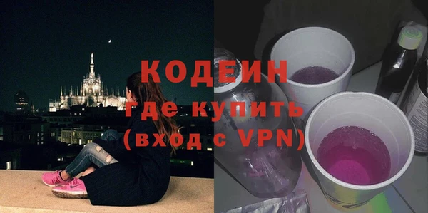 молекула духа Няндома