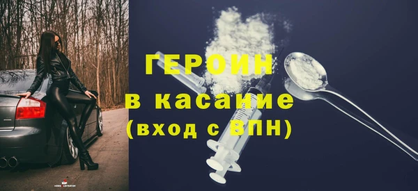 индика Новодвинск