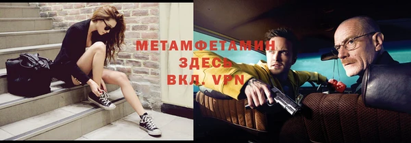 индика Новодвинск