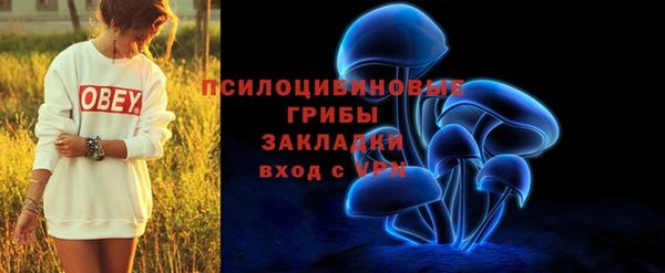 индика Новодвинск