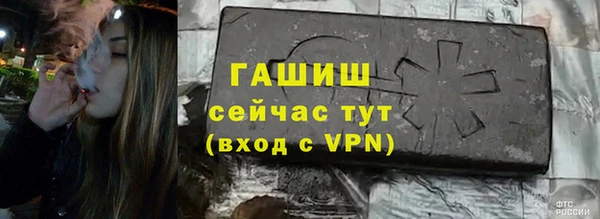 молекула духа Няндома