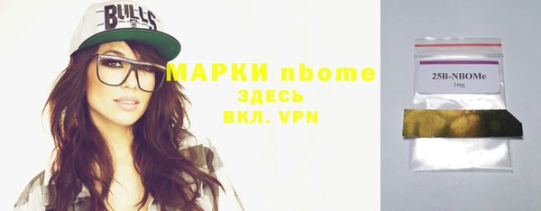 индика Новодвинск