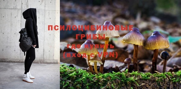 марихуана Новокубанск