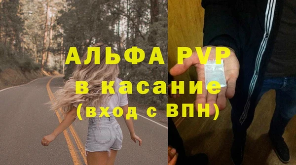 индика Новодвинск