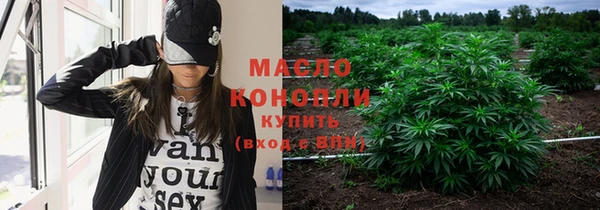 индика Новодвинск