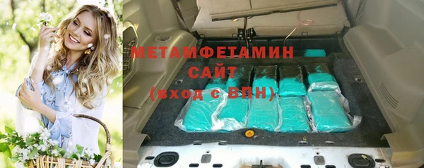 сатива Вяземский