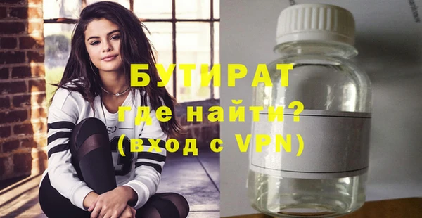 индика Новодвинск