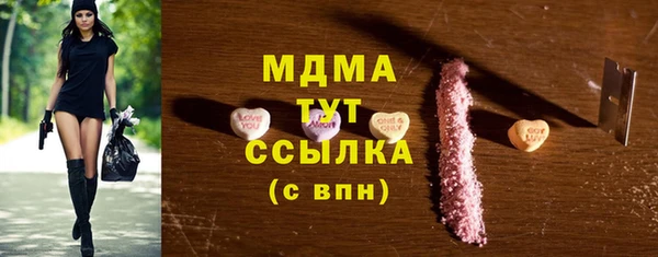индика Новодвинск