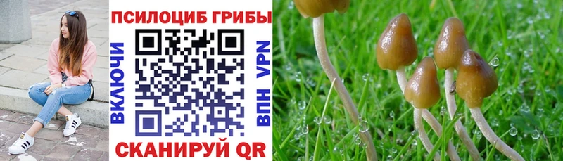 где можно купить наркотик  Слюдянка  Галлюциногенные грибы ЛСД 