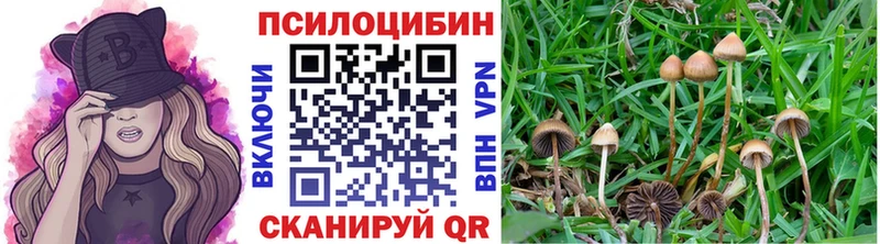 Галлюциногенные грибы Cubensis Слюдянка