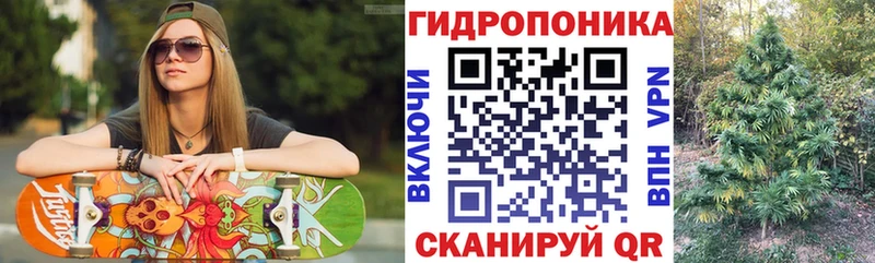 Конопля сатива  купить  сайты  Слюдянка 